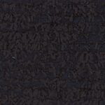 xx31567