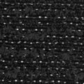 vv31566